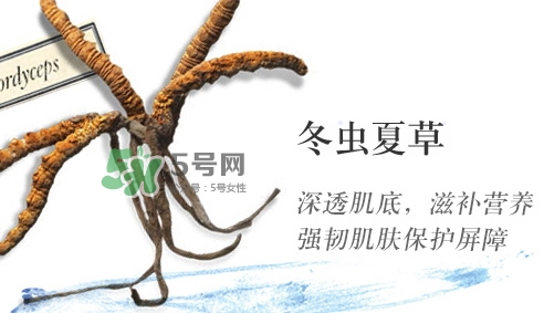 菌菇水是哪個(gè)國(guó)家的？悅木之源菌菇水是日本的嗎