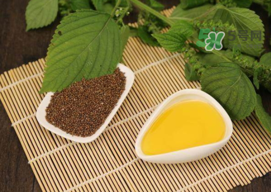 紫蘇水可以天天用嗎？紫蘇水的功效與作用