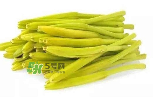 黃花菜是忘憂草嗎？黃花菜是不是金針菜