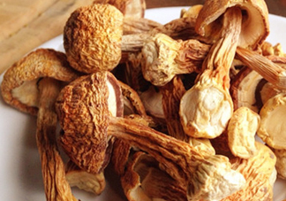 干松茸怎么清洗？干松茸如何辨別真?zhèn)?><p><strong>干松茸怎么清洗？干松茸如何辨別真?zhèn)?/strong></p></a></li> <li><a href=