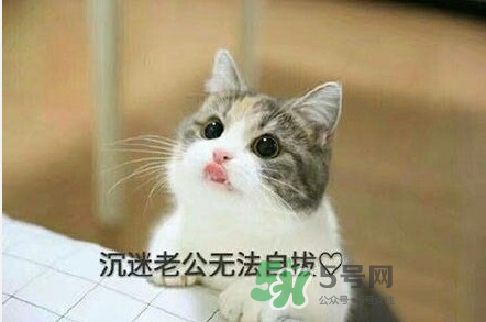 南方老公和東北老公哪個好？南方老公和東北老公的區(qū)別