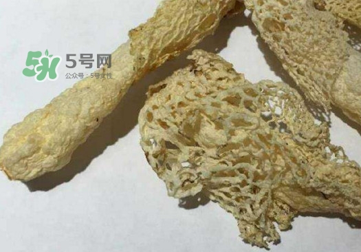 干竹蓀怎么處理？干竹蓀怎么清洗