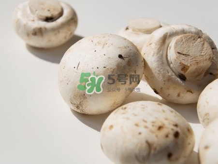 白蘑菇是什么種類？白蘑菇怎么洗才洗得干凈