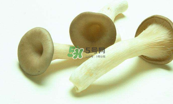 蘑菇不能和茄子一起吃嗎？蘑菇不能和什么一起吃？