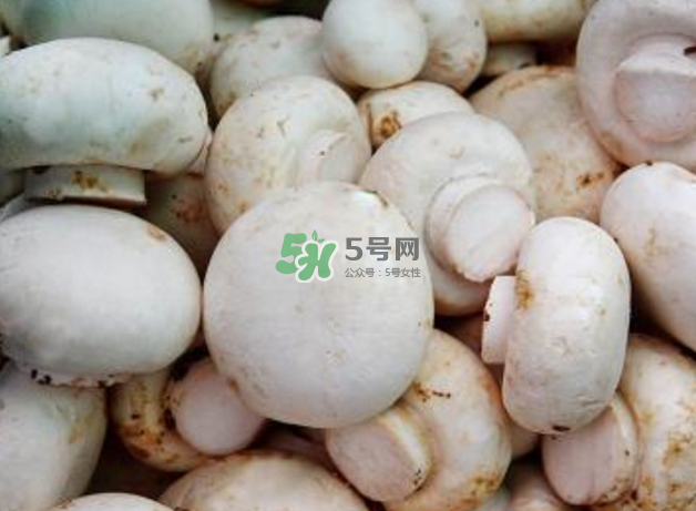 蘑菇變黑了還能吃嗎？蘑菇怎么保存？