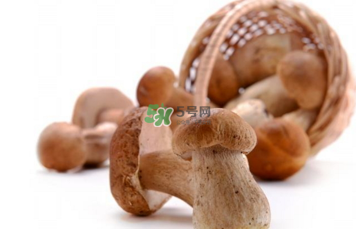 蘑菇能放冰箱嗎？蘑菇能放冰箱多長(zhǎng)時(shí)間？