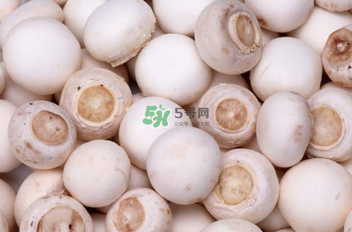 蘑菇能放冰箱嗎？蘑菇能放冰箱多長(zhǎng)時(shí)間？