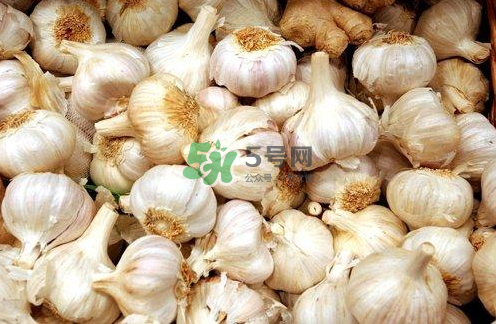 壽光大蒜有毒嗎？壽光毒大蔥事件