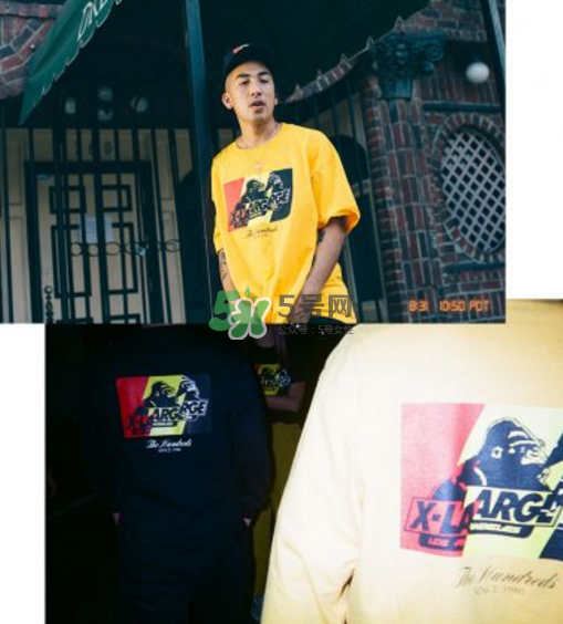 the hundreds與xlarge聯(lián)名系列多少錢_怎么樣_在哪買？