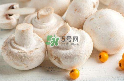 新鮮白蘑菇怎么做好吃？白蘑菇有什么好處