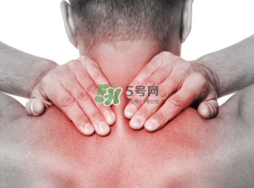 碧緹福護頸儀多少錢？碧緹福護頸儀價格