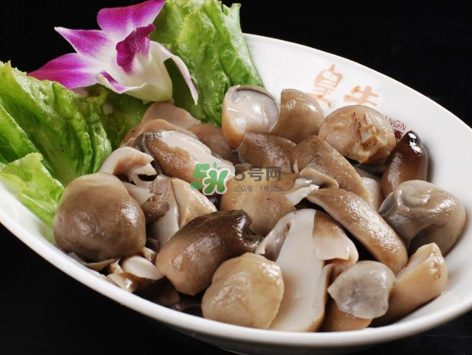 草菇孕婦能吃嗎？草菇要煮多久可以吃？