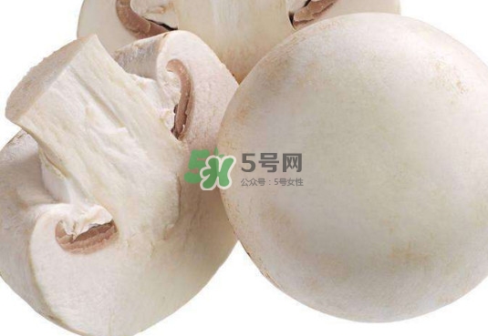 新鮮白蘑菇怎么做好吃？白蘑菇有什么好處