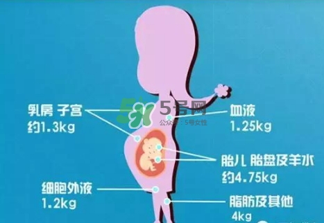 孕期體重增長標(biāo)準(zhǔn) 孕期體重增長過快怎么辦？