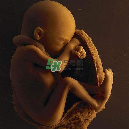 臍帶繞頸是什么意思？臍帶繞頸兩周怎么糾正？