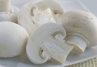 白蘑菇是什么蘑菇？白蘑菇有毒嗎