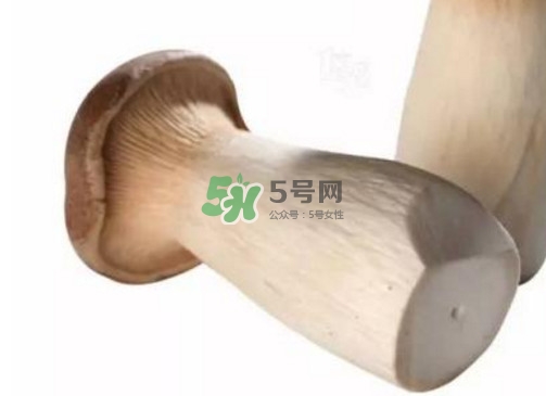 杏鮑菇有苦味還能吃嗎？杏鮑菇有酒味是壞了嗎