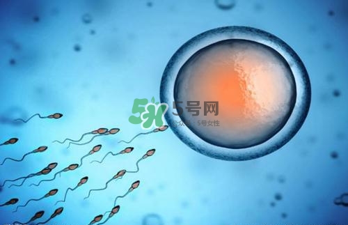 精子在女性體內(nèi)可以存活多久？男性的精子會枯竭嗎？