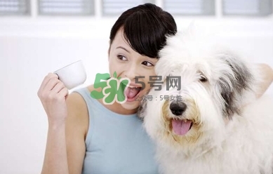 孕婦能養(yǎng)狗嗎？孕婦養(yǎng)狗注意事項