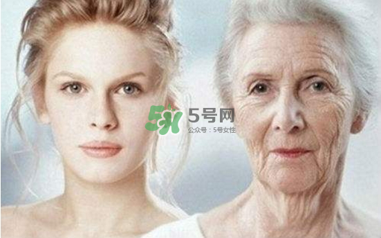 抗氧化是抗衰老嗎？抗氧化是不是就等于抗衰老？