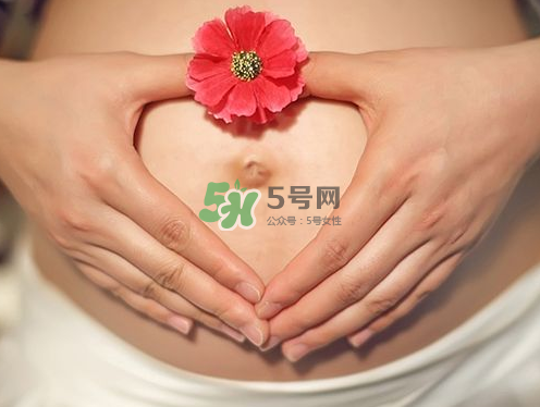 秋天孕婦可以吃絲瓜嗎？秋天孕婦吃絲瓜好嗎？