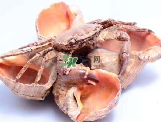 螃蟹殼里的東西是什么？螃蟹殼里什么不能吃？