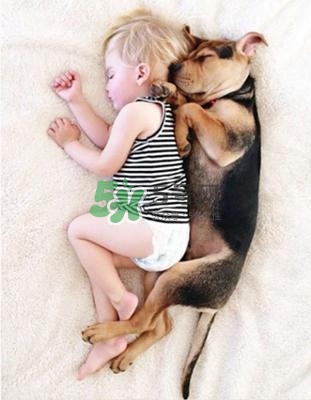 孕婦能養(yǎng)狗嗎？孕婦養(yǎng)狗注意事項