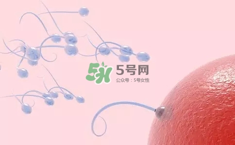 精子在女性體內(nèi)可以存活多久？男性的精子會枯竭嗎？