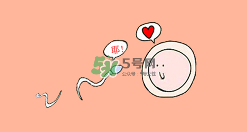精子在女性體內(nèi)可以存活多久？男性的精子會枯竭嗎？