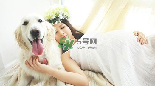 孕婦不能養(yǎng)寵物嗎？為什么孕婦不能養(yǎng)寵物？