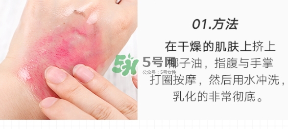 delinson黛蘭絲汀是什么牌子？delinson是哪國的什么檔次