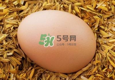 芝麻醬和雞蛋能一起吃嗎？雞蛋可以和芝麻醬一起吃嗎