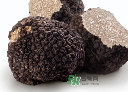 松露是什么樣子的？松露是怎么形成的