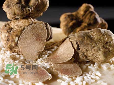 松露為什么那么貴？松露為什么這么貴？