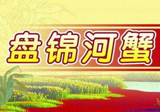 盤錦河蟹批發(fā)市場在哪？盤錦河蟹哪里最正宗？