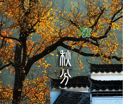 2017秋分會下雨嗎？2017秋分下雨好不好？