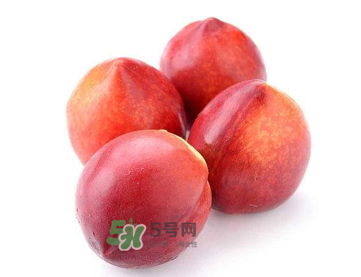 九月份還有桃子嗎？9月份成熟的桃子有幾種？