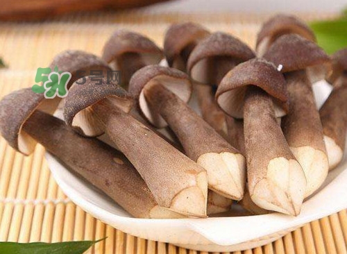 雞樅菌什么人不能吃？雞樅菌哪些人能吃