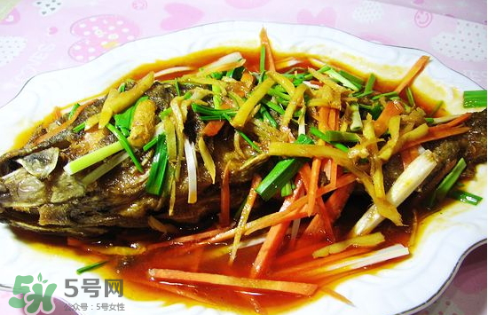 黑魚能愈合傷口嗎？黑魚為什么對傷口愈合？
