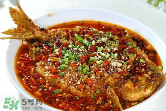 黑魚能愈合傷口嗎？黑魚為什么對傷口愈合？