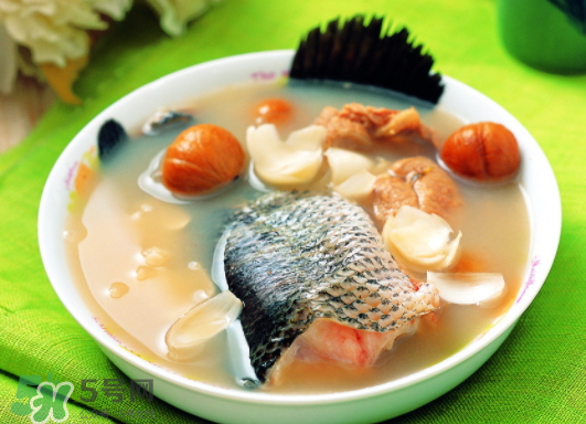 黑魚能愈合傷口嗎？黑魚為什么對傷口愈合？
