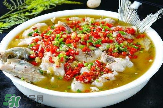 鯉魚可以做水煮魚嗎？水煮鯉魚的做法