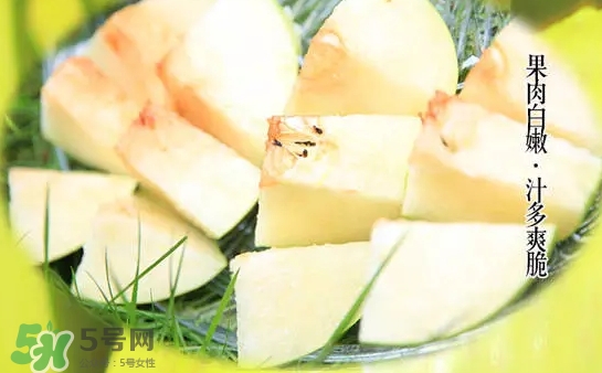 綠寶石梨多少錢一斤？綠寶石梨價(jià)格表