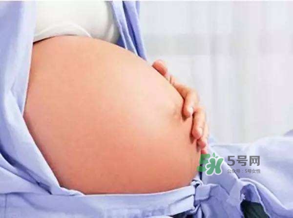孕晚期肚子有規(guī)律的跳動是胎動嗎？
