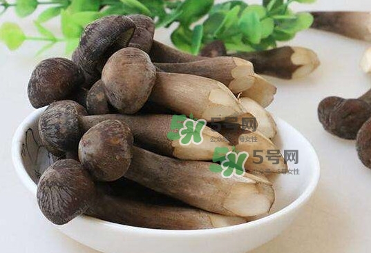 雞樅菌多少錢一斤？干雞樅菌多少錢一斤