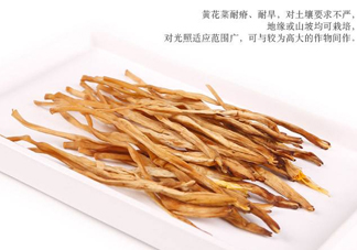 新鮮黃花菜怎么保存？干黃花菜怎么保存