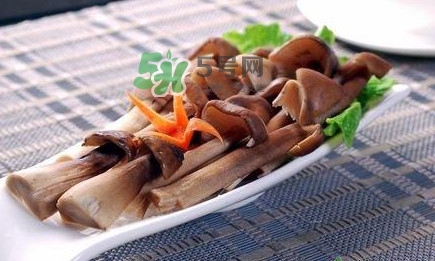 雞樅菌和松茸哪個(gè)更好？雞樅菌有什么營養(yǎng)