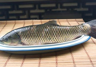 黑魚可以清蒸嗎？黑魚蒸多久？