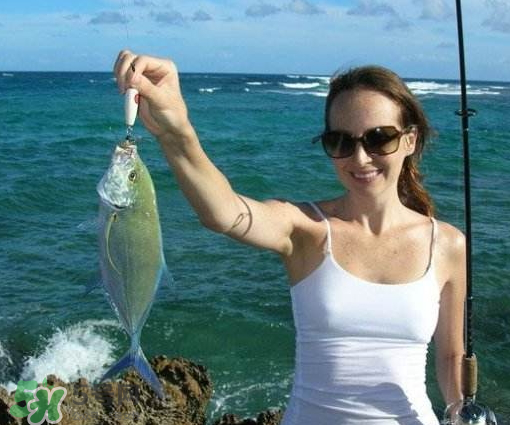9月份釣什么魚？9月份釣草魚嗎？