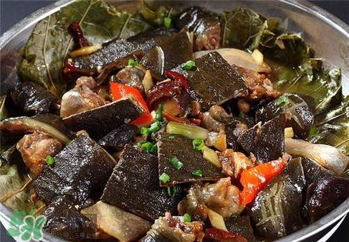 甲魚湯下奶嗎？下奶的食物有哪些？